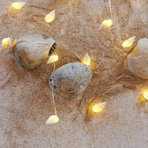 schelpenslinger 20 lichtjes