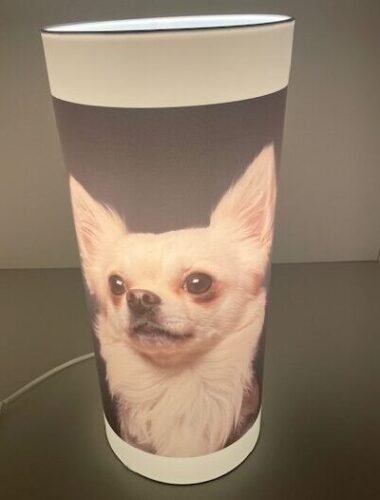 Lamp met dekor - Afbeelding 21