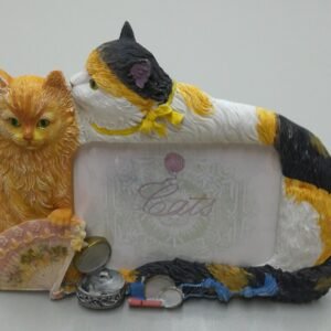 Fotokader "poes"