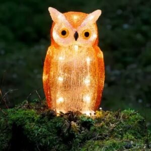 Uil met verlichting